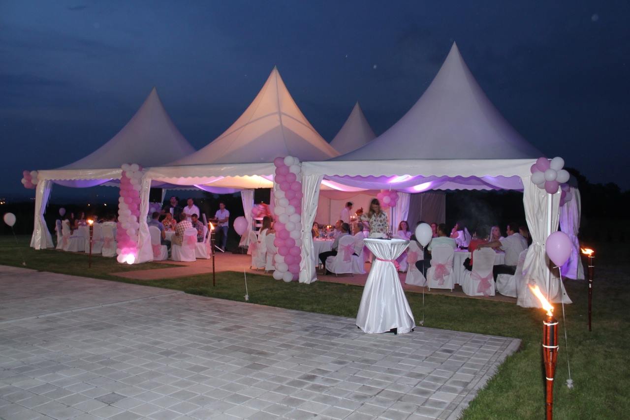 Pagode Different Event - slika 15