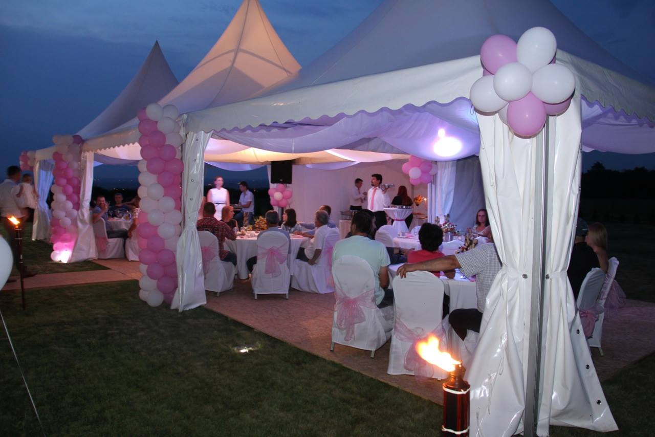 Pagode Different Event - slika 6